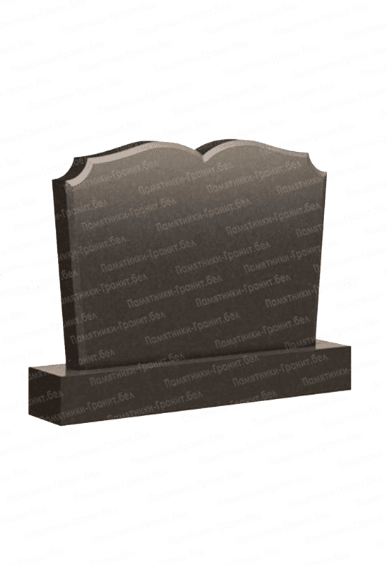 Памятник Светлогорск фотография