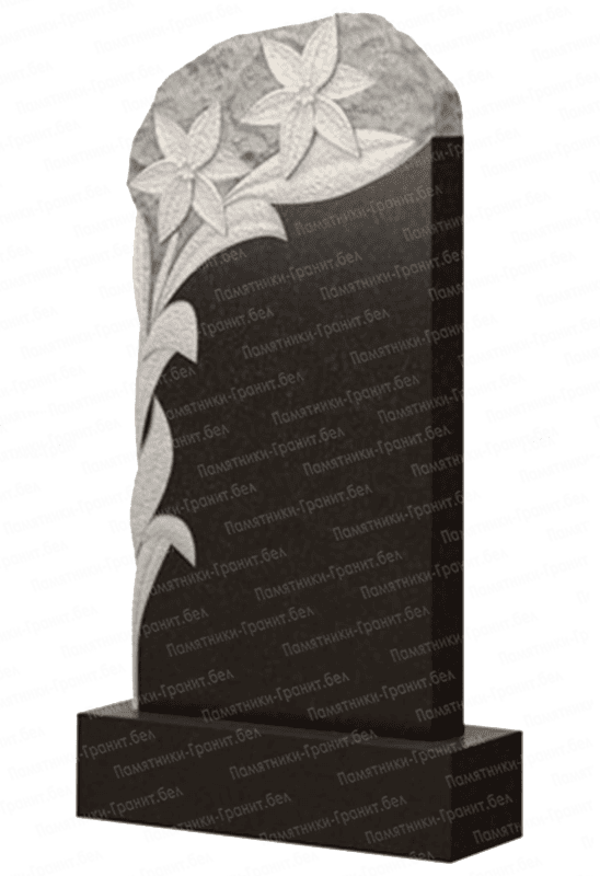 Памятник Светлогорск изображение