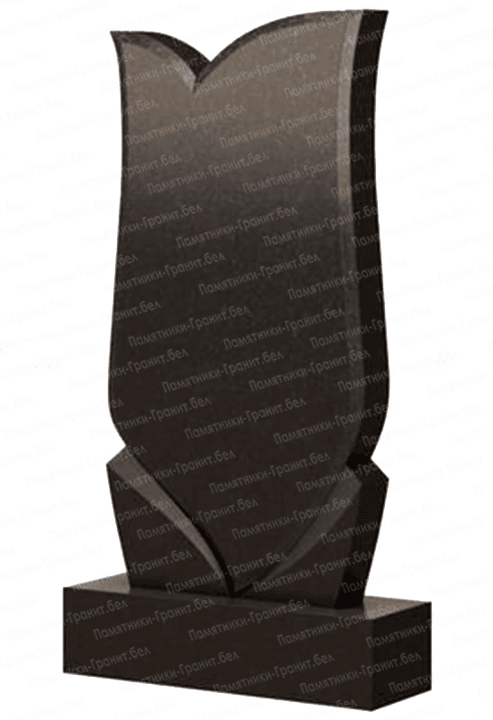 Памятник Светлогорск фотография