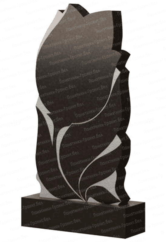 Заказать памятник Светлогорск фото